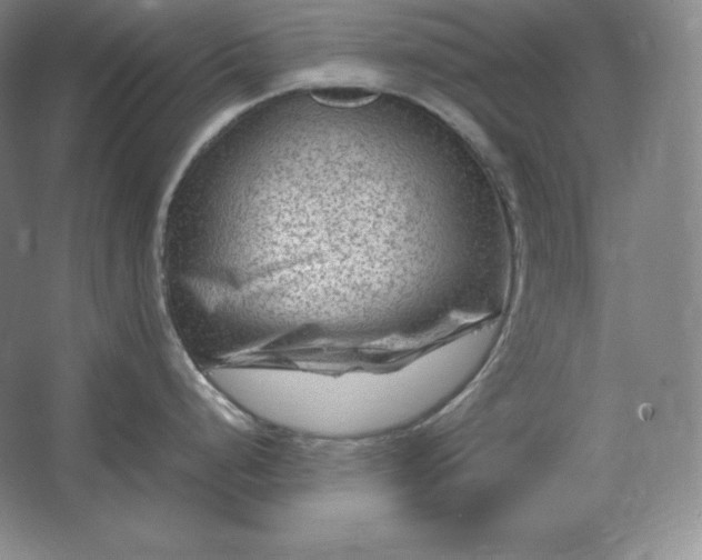 X0000062631248200512281547