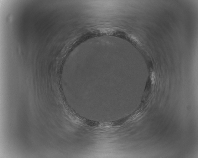 X0000062631249200512281546