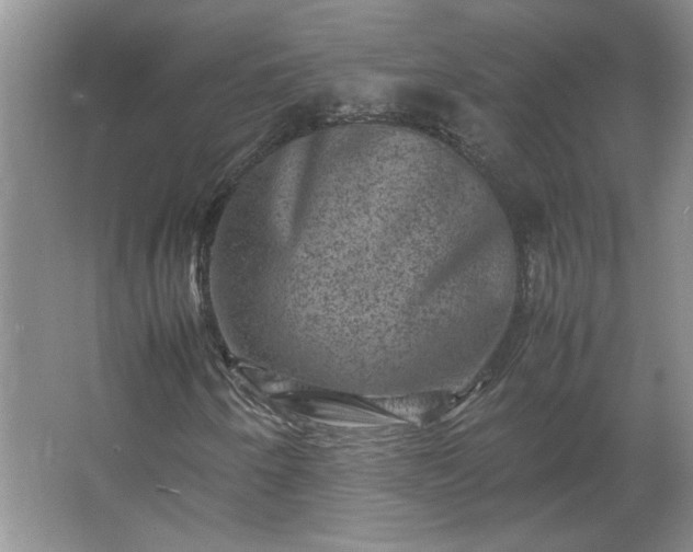 X0000062631250200512281546