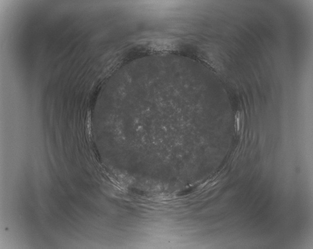 X0000062631251200512281546