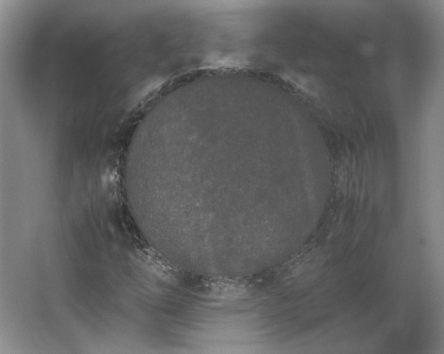 X0000062631254200512281546