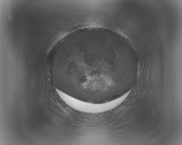 X0000062631255200512281546