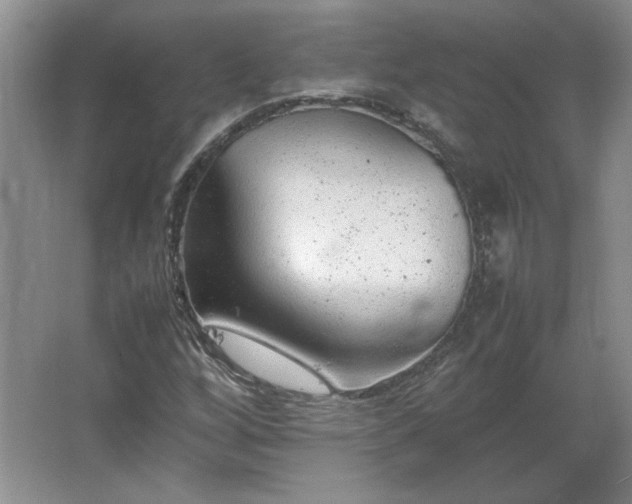 X0000062631256200512281546