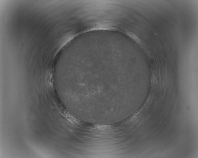 X0000062631258200512281546