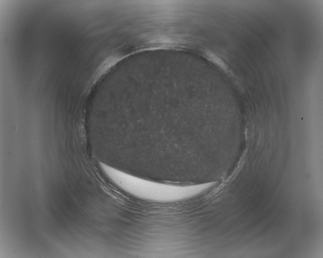 X0000062631259200512281546