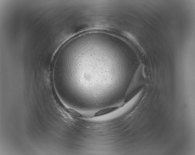 X0000062631260200512281546