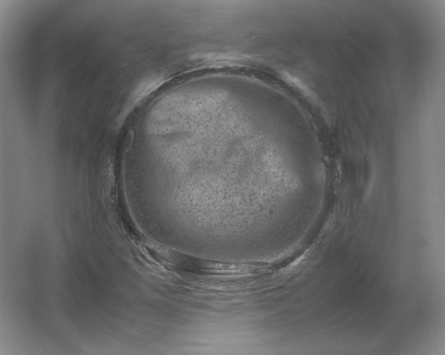 X0000062631261200512281546