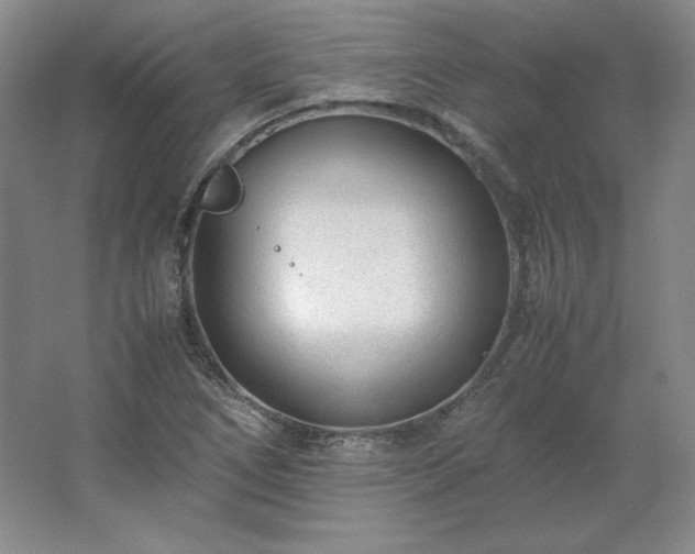 X0000062631266200512281546