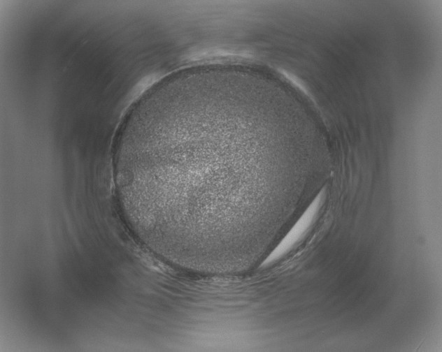 X0000062631267200512281546