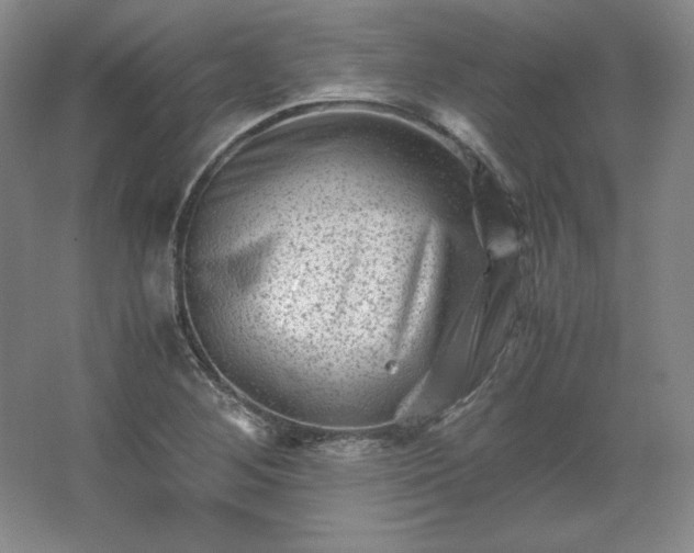 X0000062631268200512281546