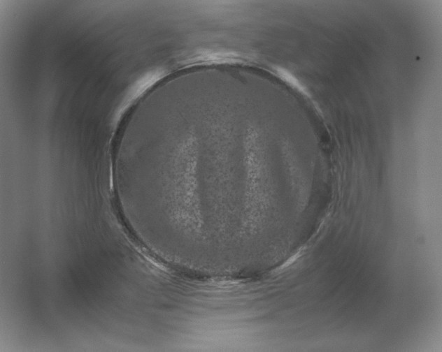 X0000062631269200512281546