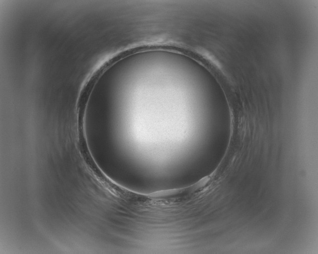 X0000062631270200512281546