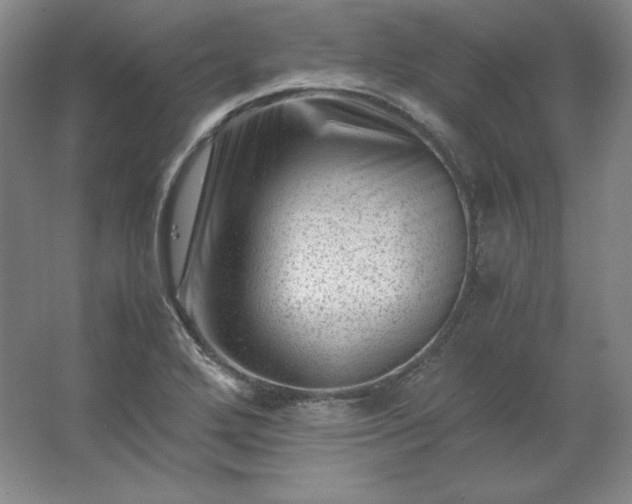 X0000062631272200512281546