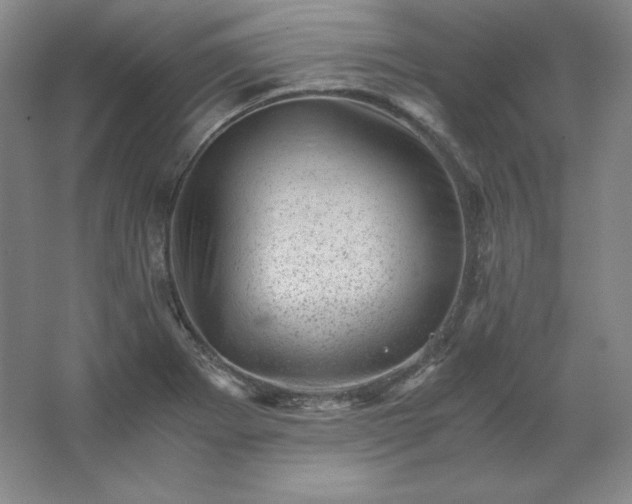 X0000062631273200512281546