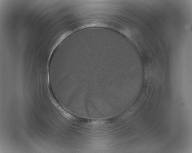 X0000062631274200512281546