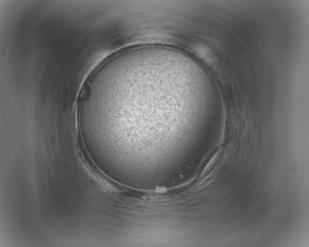 X0000062631275200512281546