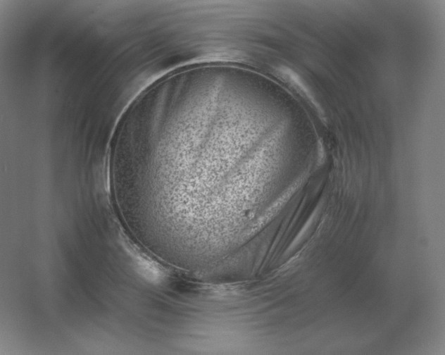 X0000062631276200512281546