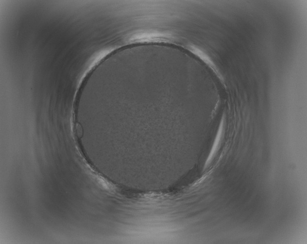 X0000062631277200512281546