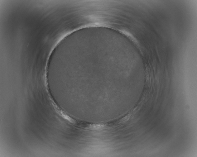 X0000062631278200512281546