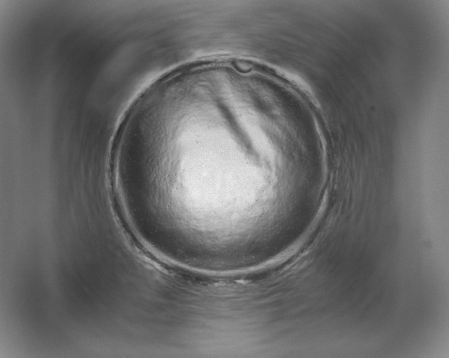 X0000062631279200512281546