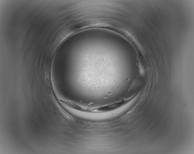 X0000062631281200512281546