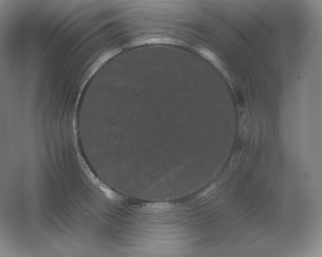 X0000062631282200512281546