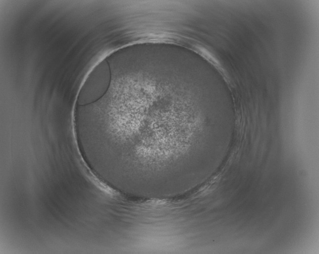 X0000062631283200512281546