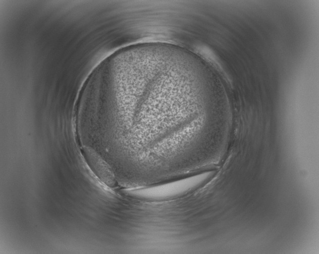 X0000062631284200512281546