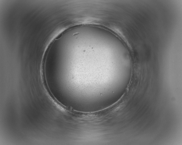 X0000062631285200512281546