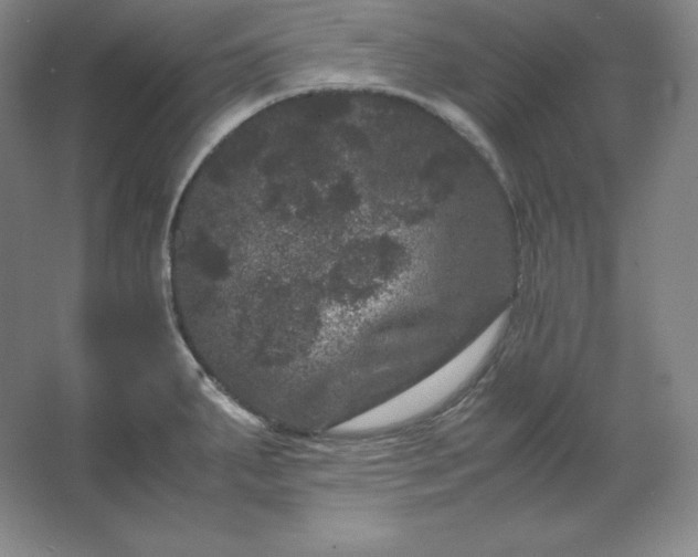 X0000062631287200512281546