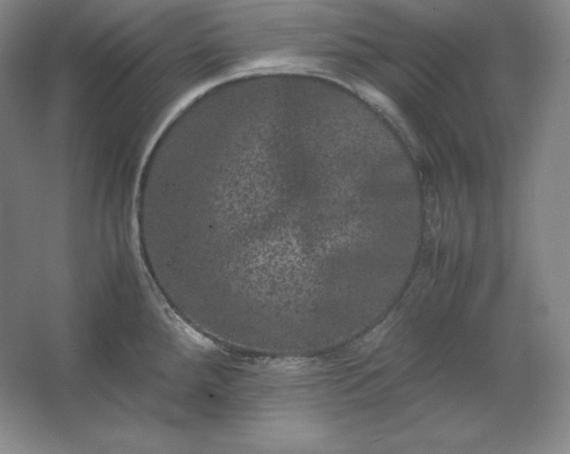 X0000062631288200512281546