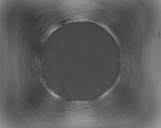 X0000062631289200512281546