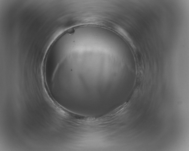 X0000062631291200512281545