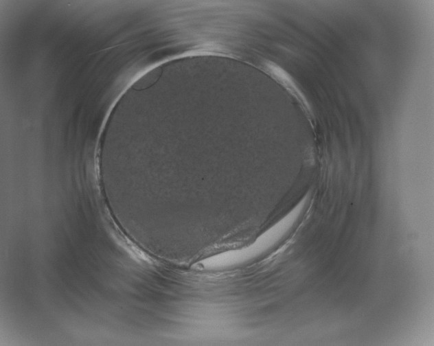 X0000062631292200512281545