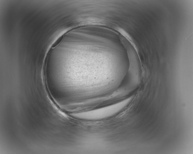 X0000062631293200512281545