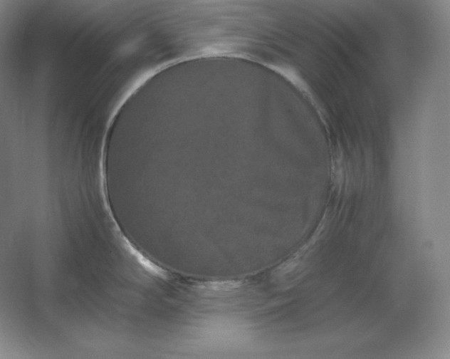 X0000062631294200512281545