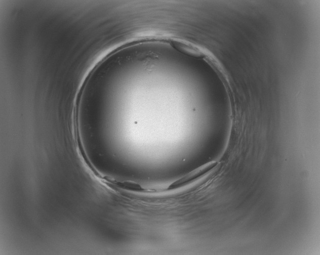 X0000062631295200512281545