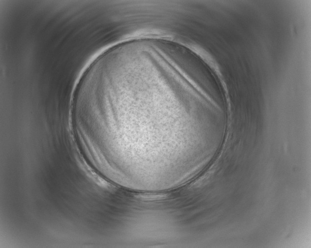 X0000062631296200512281545