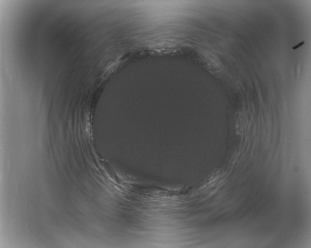 X0000062631298200512281545