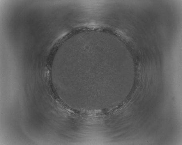 X0000062631302200512281545