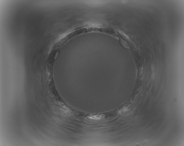 X0000062631303200512281545