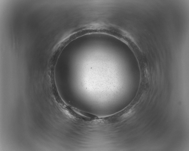 X0000062631304200512281545