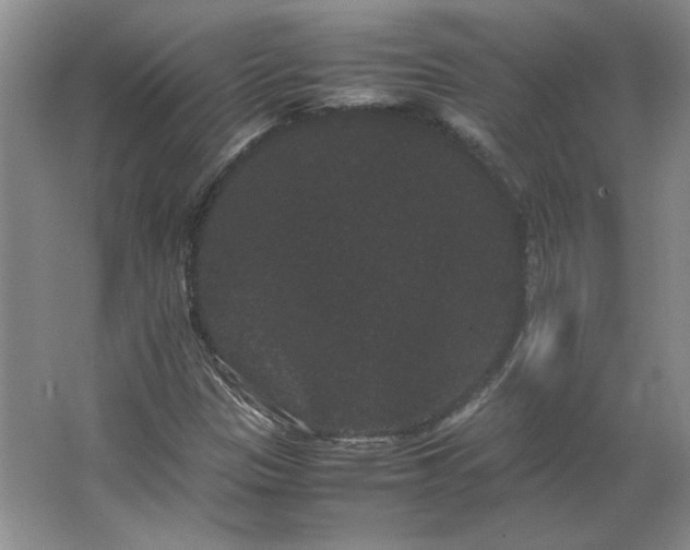 X0000062631305200512281545