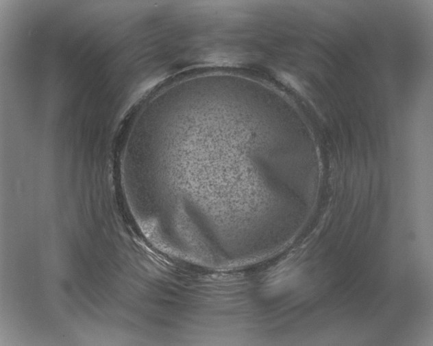 X0000062631307200512281545