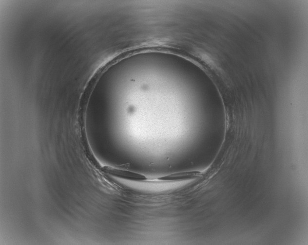 X0000062631308200512281545