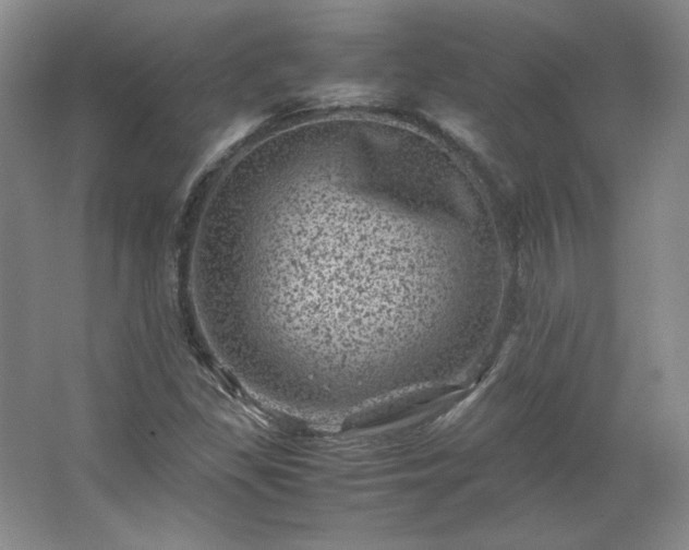 X0000062631309200512281545