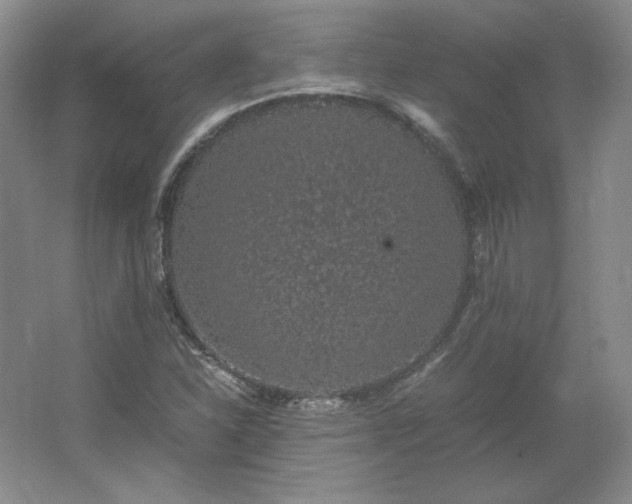 X0000062631310200512281545