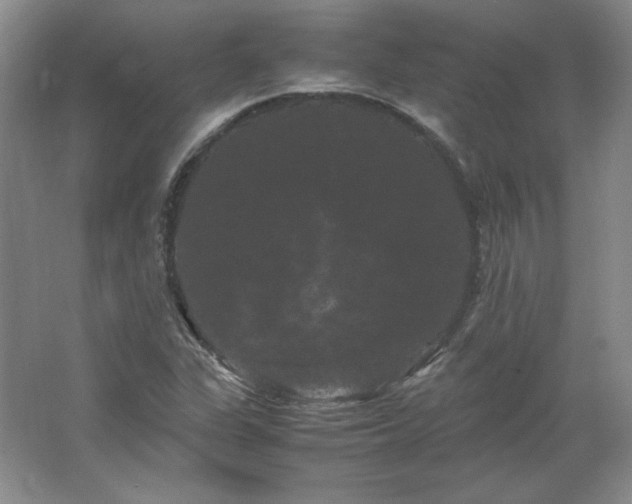 X0000062631311200512281545