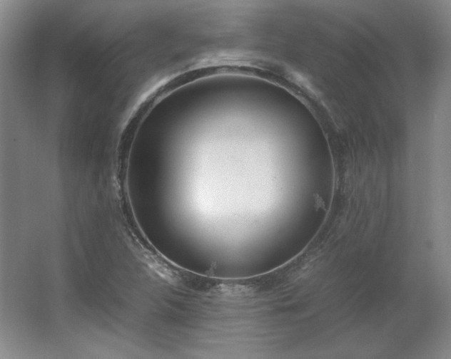 X0000062631312200512281545