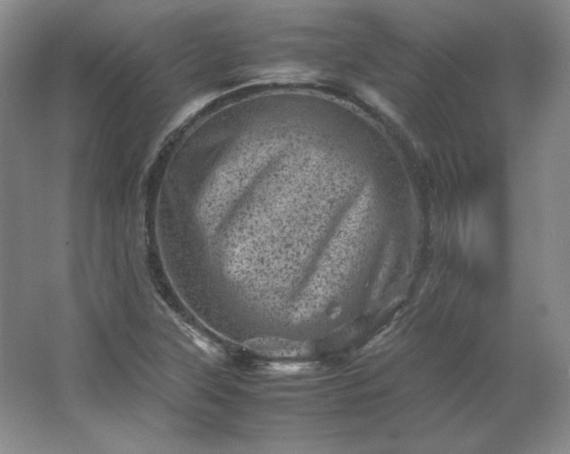 X0000062631315200512281545